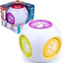 Dumel Discovery Ball hinta ja tiedot | Dumel Lapset | hobbyhall.fi