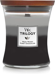 WoodWick Tuoksukynttilä Trilogy Fireside, Redwood, Sandalwood Clove 275g hinta ja tiedot | Kynttilät ja kynttilänjalat | hobbyhall.fi