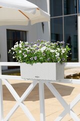 Lechuza Balconera Cottage 50 valkoinen hinta ja tiedot | Kukkalaatikot | hobbyhall.fi