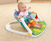 Fisher Price Froggy -istuin vauvalle, BFB12 hinta ja tiedot | Sitterit | hobbyhall.fi