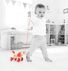 HAPE Vedettävät lelut Walk-A-Long Puppy hinta ja tiedot | Vauvan lelut | hobbyhall.fi