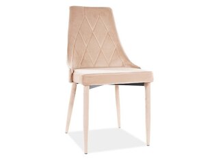 4 tuolin sarja Signal Meble Trix, beige väri hinta ja tiedot | Ruokapöydän tuolit | hobbyhall.fi