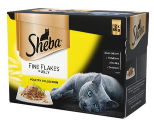 SHEBA Delicacies Mix siipikarjapalat hyytelössä 12x85g hinta ja tiedot | Kissanruoka | hobbyhall.fi