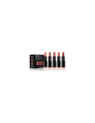Revolution Pro viiden huulivärin sarja (Lipstick Collection) 5 x 3,2 g. hinta ja tiedot | Huulipunat, huulikiillot ja huulirasvat | hobbyhall.fi