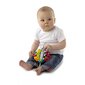 Toy Discovery Playgro, 4082426 hinta ja tiedot | Vauvan lelut | hobbyhall.fi