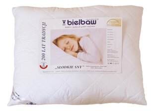Tyyny Bielbaw, 50x60 cm, valkoinen hinta ja tiedot | Tyynyt | hobbyhall.fi