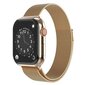 Swissten Metal Apple Watch 1/2/3/4/5/6/SE / 42 mm / 44 mm, kulta hinta ja tiedot | Älykellojen ja aktiivisuusrannekkeiden lisätarvikkeet | hobbyhall.fi