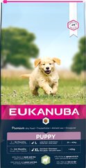 Kuivaruoka koirille Eukanuba Puppy lampaanliha ja riisi, 12 kg hinta ja tiedot | Eukanuba Lemmikit | hobbyhall.fi