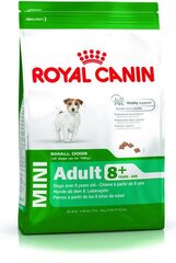 Royal Canin Mini Adult +8, 2 kg, pienille vanhemmille koirille. hinta ja tiedot | Koiran kuivaruoka | hobbyhall.fi