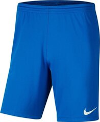 Nike Park III Knit Jr shortsit lapsille, sininen hinta ja tiedot | Nike Poikien vaatteet | hobbyhall.fi