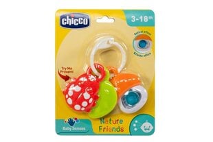 CHICCO Purulelu Nature Friends hinta ja tiedot | Vauvan lelut | hobbyhall.fi