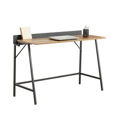 Työpöytä SoBuy FWT79-PF, ruskea hinta ja tiedot | Tietokonepöydät ja työpöydät | hobbyhall.fi
