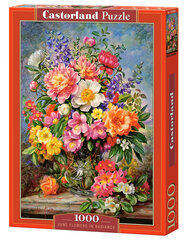 Palapeli Castorland June Flowers in Radiance, 1000 palaa hinta ja tiedot | Palapelit | hobbyhall.fi