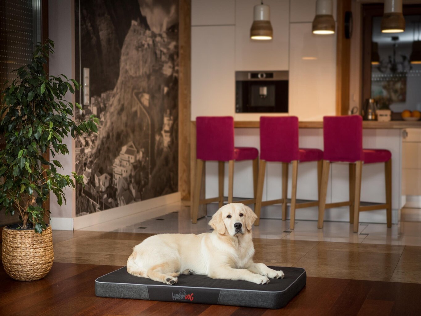 Hobbydog Premium -makuualusta koiralle, L-koko: 100 x 67 cm, musta / tummanharmaa hinta ja tiedot | Pedit ja pesät | hobbyhall.fi