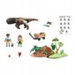 71012 PLAYMOBIL® Wiltopia, Muurahaiset hinta ja tiedot | LEGOT ja rakennuslelut | hobbyhall.fi