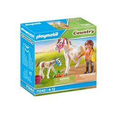 71243 PLAYMOBIL® Country, hevonen ja varsa hinta ja tiedot | LEGOT ja rakennuslelut | hobbyhall.fi