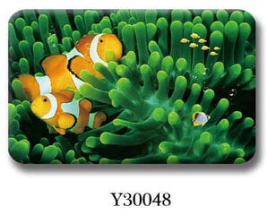 Benedomo Kylpyhuoneen matto 60x100 cm hinta ja tiedot | Kylpyhuoneen sisustus | hobbyhall.fi