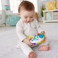 Opettava lelukaukosäädin Mattel Fisher Price hinta ja tiedot | Vauvan lelut | hobbyhall.fi