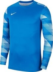 .Miesten t-paita Nike, sininen hinta ja tiedot | Miesten T-paidat | hobbyhall.fi