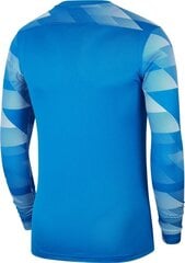 .Miesten t-paita Nike, sininen hinta ja tiedot | Miesten T-paidat | hobbyhall.fi