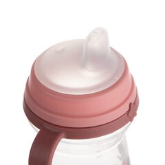 Canpol Babies Bonjour Paris 56/613, 6 kk+, 250ml hinta ja tiedot | Tuttipullot ja tarvikkeet | hobbyhall.fi