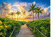 Castorland palapeli Colorful Sunrise in Miami, USA 3000 palaa hinta ja tiedot | Palapelit | hobbyhall.fi