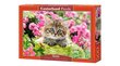 Palapeli Castorland Kitten in Flower Garden, 500 palaa hinta ja tiedot | Palapelit | hobbyhall.fi
