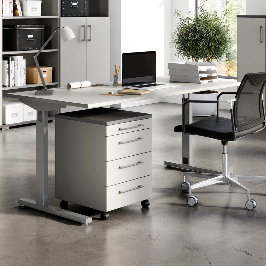Työpöytä 4252, harmaa hinta ja tiedot | Tietokonepöydät ja työpöydät | hobbyhall.fi