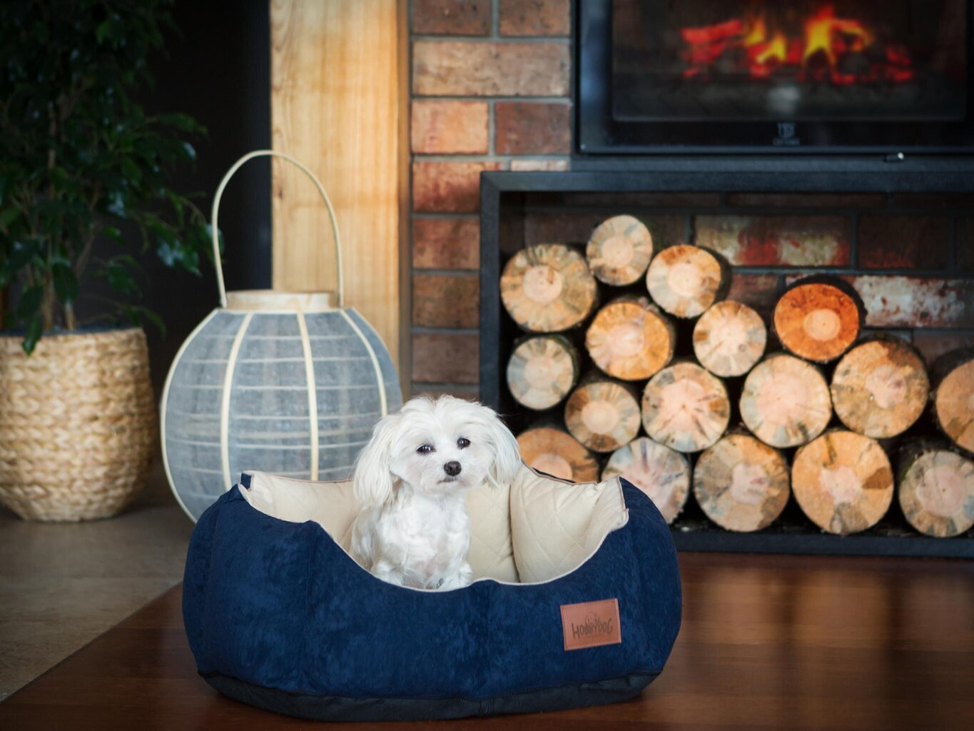 Hobbydog New York Premium, M-kokoinen Koiranpesä , tumman sinisen värinen, 53 cm x 45 cm hinta ja tiedot | Pedit ja pesät | hobbyhall.fi