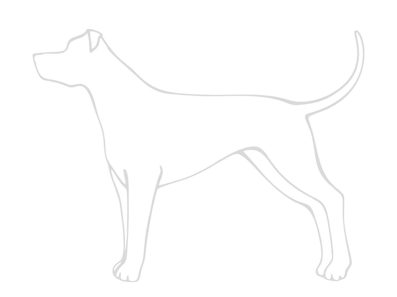 Amiplay Easy Fix Samba -valjaat koiralle, XL-koko, mustan väriset hinta ja tiedot | Koiran talutushihnat | hobbyhall.fi