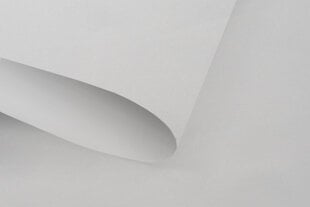 Rullaverho, 80x240 cm, 100% pimentävä hinta ja tiedot | Rullaverhot | hobbyhall.fi