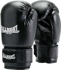 Nyrkkeilyhanskat Allright TRAINING PRO 6oz, sininen hinta ja tiedot | Kamppailulajit | hobbyhall.fi