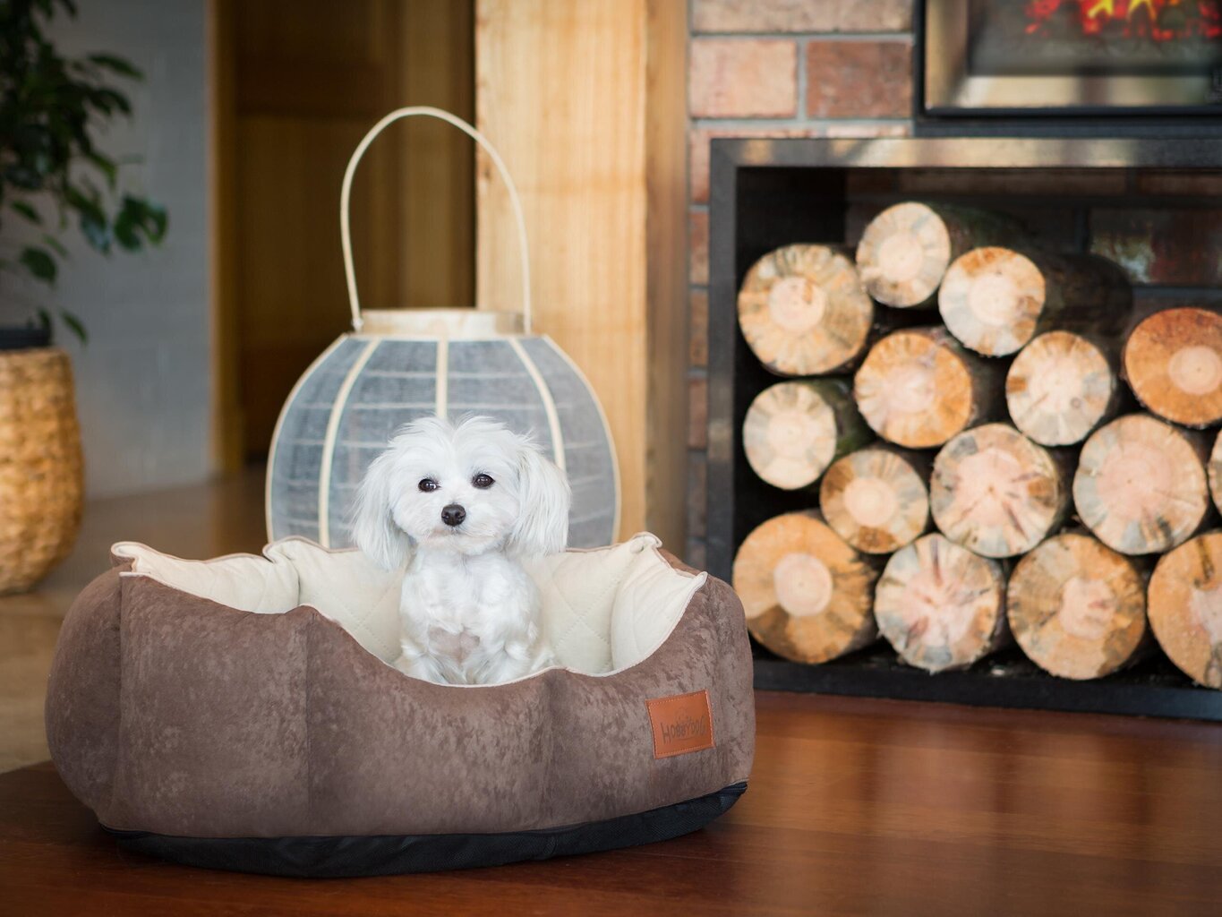 Hobbydog New York Premium, L-kokoinen Koiranpeti , ruskean värinen, 60 cm x52 cm hinta ja tiedot | Pedit ja pesät | hobbyhall.fi