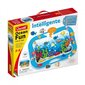 QUERCETTI Setti OCEAN FUN FISH & PEGS hinta ja tiedot | Kehittävät lelut | hobbyhall.fi