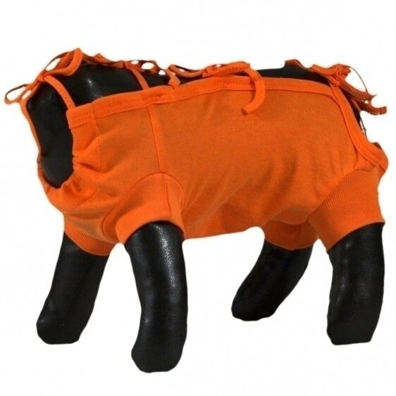 Grande Finale leikkauksen jälkeinen paita lemmikeille (oranssin värinen) XXL 60cm hinta ja tiedot | Koiran vaatteet | hobbyhall.fi