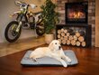Hobbydog Eco Light Grey, R3, patja lemmikeille, 115 cm x 80 cm hinta ja tiedot | Pedit ja pesät | hobbyhall.fi