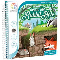 Lautapeli Down the Rabbit Hole, EN hinta ja tiedot | Lautapelit ja älypelit | hobbyhall.fi