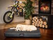 Hobbydog Ekolen XL-kokoinen mustan värinen patja lemmikille, 120 cm x 90 cm hinta ja tiedot | Pedit ja pesät | hobbyhall.fi