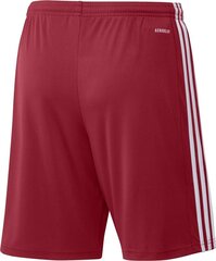 Adidas Squadra 21 -shortsit, punainen hinta ja tiedot | Jalkapallovaatteet ja -varusteet | hobbyhall.fi