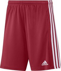 Adidas Squadra 21 -shortsit, punainen hinta ja tiedot | Jalkapallovaatteet ja -varusteet | hobbyhall.fi