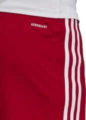 Adidas Squadra 21 -shortsit, sininen hinta ja tiedot | Jalkapallovaatteet ja -varusteet | hobbyhall.fi