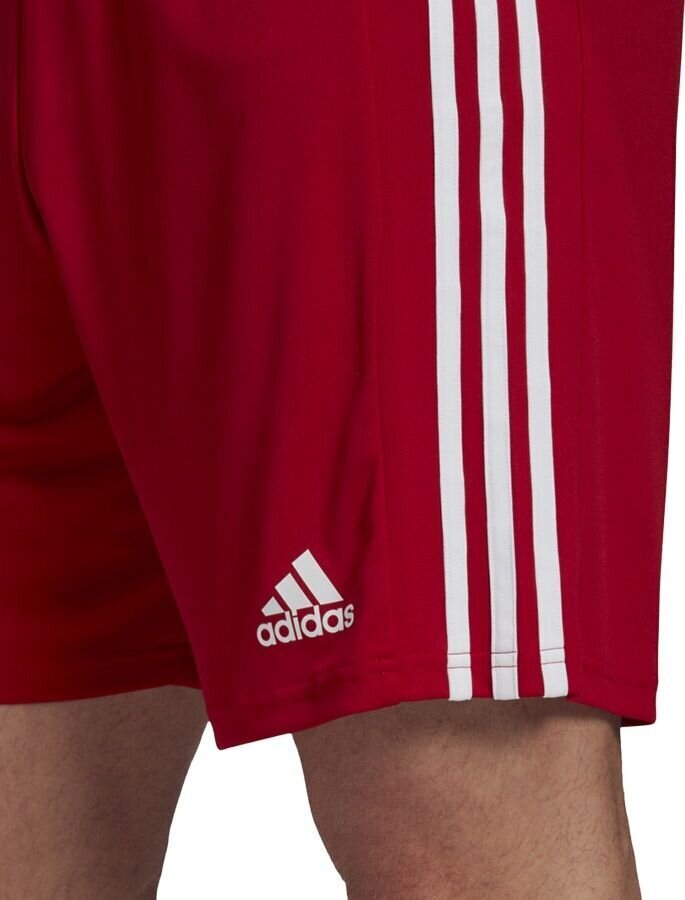 Adidas Squadra 21 -shortsit, sininen hinta ja tiedot | Jalkapallovaatteet ja -varusteet | hobbyhall.fi