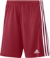 Adidas Squadra 21 -shortsit, sininen hinta ja tiedot | Jalkapallovaatteet ja -varusteet | hobbyhall.fi