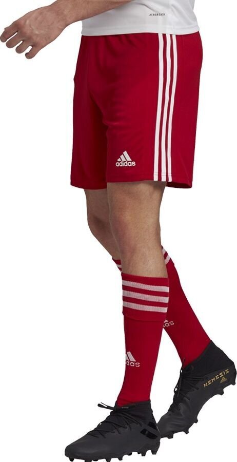 Adidas Squadra 21 -shortsit, sininen hinta ja tiedot | Jalkapallovaatteet ja -varusteet | hobbyhall.fi