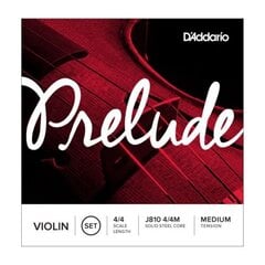 Kielet viululle 4/4 D'Addario Prelude hinta ja tiedot | D'Addario Kodinkoneet ja kodinelektroniikka | hobbyhall.fi