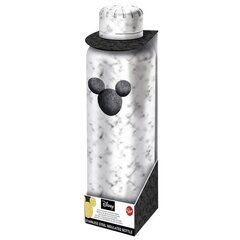 Ruostumattomasta teräksestä valmistettu juomapullo Disney Mickey 515 ml hinta ja tiedot | Juomapullot | hobbyhall.fi