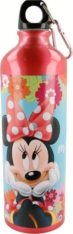 Juomapullo Disney, 750 ml hinta ja tiedot | Juomapullot | hobbyhall.fi