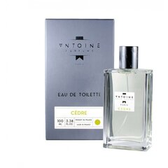 Vartalotuotteet Antoine Cedre EDT, 100 ml hinta ja tiedot | Antoine Hajuvedet ja kosmetiikka | hobbyhall.fi