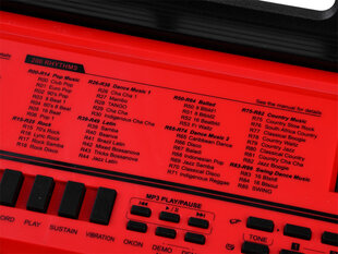 Lasten syntetisaattori mikrofonilla BF-950A, punainen hinta ja tiedot | Big Fun Lapset | hobbyhall.fi