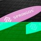 Aerobinen steppilauta Springos, musta/vaaleanpunainen/harmaa hinta ja tiedot | Steppilaudat | hobbyhall.fi